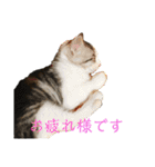 とろろらむもずく♡（個別スタンプ：24）