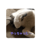 とろろらむもずく♡（個別スタンプ：29）