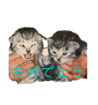 とろろらむもずく♡（個別スタンプ：32）