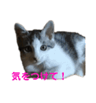 とろろらむもずく♡（個別スタンプ：35）