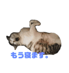 とろろらむもずく♡（個別スタンプ：37）