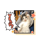 ノル森のレーヌちゃん（個別スタンプ：2）