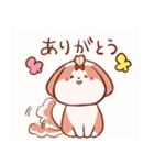 うちの丸いシーズー（個別スタンプ：1）