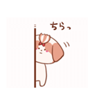 うちの丸いシーズー（個別スタンプ：5）