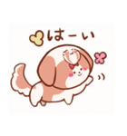 うちの丸いシーズー（個別スタンプ：6）