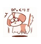 うちの丸いシーズー（個別スタンプ：7）