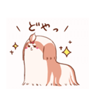 うちの丸いシーズー（個別スタンプ：8）