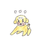 おっさんトイプー（個別スタンプ：2）