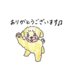 おっさんトイプー（個別スタンプ：3）