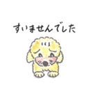 おっさんトイプー（個別スタンプ：4）