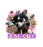 愛しのくぅちゃん（個別スタンプ：2）