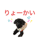 トイプードルの日常ぶらっく（個別スタンプ：11）