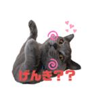 ライズスタンプ①（個別スタンプ：1）