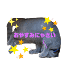 ライズスタンプ①（個別スタンプ：5）