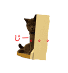 ライズスタンプ①（個別スタンプ：13）