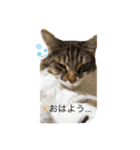 たこ焼き食べたい気分。（個別スタンプ：2）