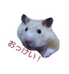 ウチのもっちゃん（個別スタンプ：3）