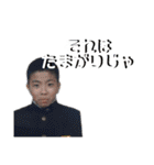 わんのスタンプど〜（個別スタンプ：7）