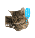 トラちゃん★⭐︎（個別スタンプ：7）