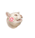 chako_chako（個別スタンプ：4）