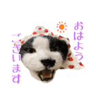 趣味で自己満スタンプ（個別スタンプ：1）