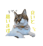 趣味で自己満スタンプ（個別スタンプ：6）