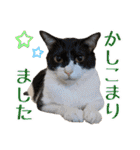 趣味で自己満スタンプ（個別スタンプ：7）