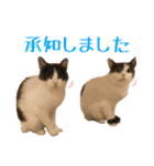 趣味で自己満スタンプ（個別スタンプ：8）