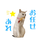 趣味で自己満スタンプ（個別スタンプ：12）