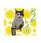 趣味で自己満スタンプ（個別スタンプ：17）