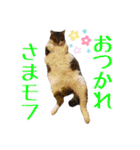 趣味で自己満スタンプ（個別スタンプ：19）