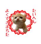 趣味で自己満スタンプ（個別スタンプ：20）