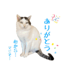 趣味で自己満スタンプ（個別スタンプ：22）