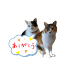 趣味で自己満スタンプ（個別スタンプ：23）