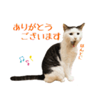 趣味で自己満スタンプ（個別スタンプ：24）