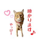 趣味で自己満スタンプ（個別スタンプ：25）
