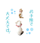 趣味で自己満スタンプ（個別スタンプ：26）