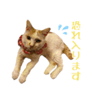 趣味で自己満スタンプ（個別スタンプ：27）
