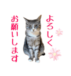 趣味で自己満スタンプ（個別スタンプ：30）