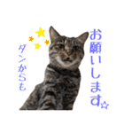 趣味で自己満スタンプ（個別スタンプ：31）