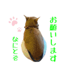 趣味で自己満スタンプ（個別スタンプ：32）