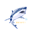 海の仲間たちです（個別スタンプ：2）