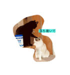 白と黒猫（個別スタンプ：1）