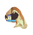 白と黒猫（個別スタンプ：4）