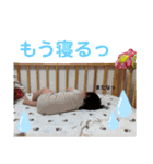 トモキとイブキ②（個別スタンプ：18）