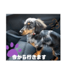 かわいいレオちゃんのスタンプ♪（個別スタンプ：7）