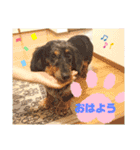 かわいいレオちゃんのスタンプ♪（個別スタンプ：8）