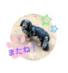 かわいいレオちゃんのスタンプ♪（個別スタンプ：16）