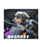 レオちゃんのかわいいスタンプ♪（個別スタンプ：8）