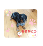 レオちゃんのかわいいスタンプ♪（個別スタンプ：9）